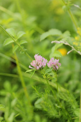 Similar image 785543