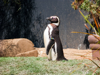 Similar image 785561