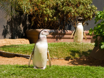 Similar image 785569