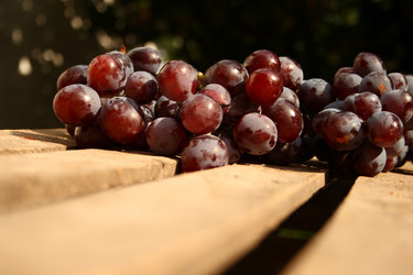 Similar image 785577