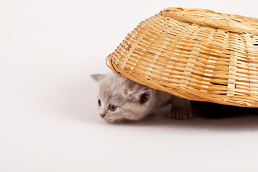 Similar image 785580