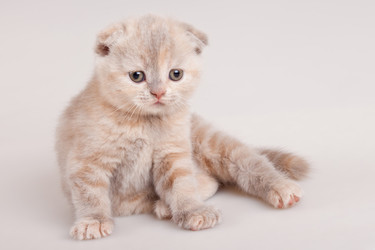 Similar image 785582