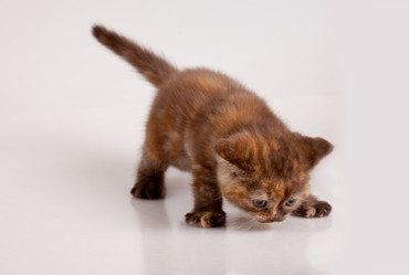 Similar image 785584