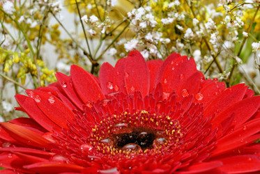 Similar image 785601