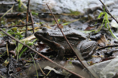 Similar image 785603