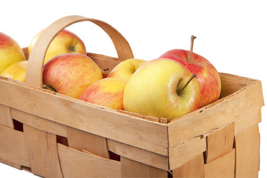 Similar image 785610