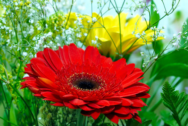 Similar image 785613