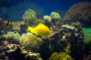 Similar image 785623