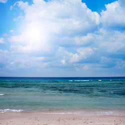 Similar image 785639