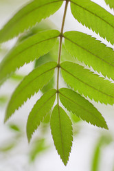 Similar image 785645