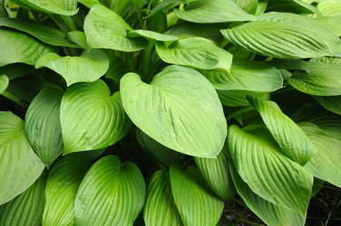 Similar image 785651