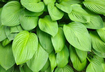 Similar image 785657