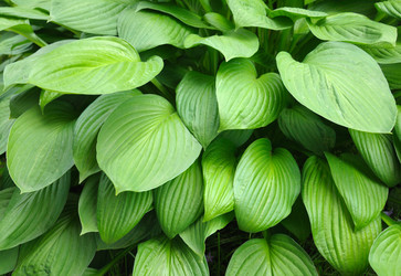 Similar image 785658