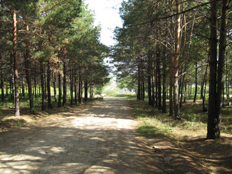 Similar image 785667