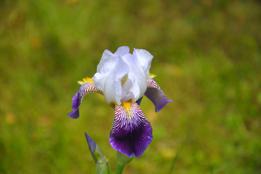 Similar image 785680