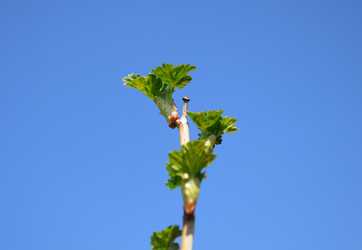 Similar image 785681