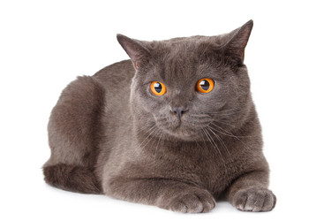 Similar image 785682