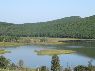 Similar image 785683