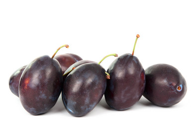 Similar image 785693