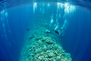 Similar image 785716