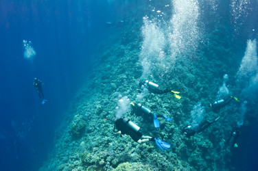 Similar image 785717