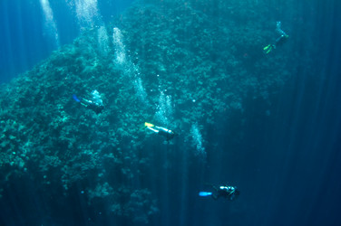 Similar image 785728