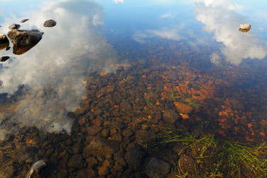 Similar image 785742