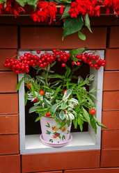 Similar image 785745