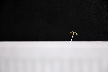 Similar image 785753