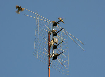 Similar image 785757