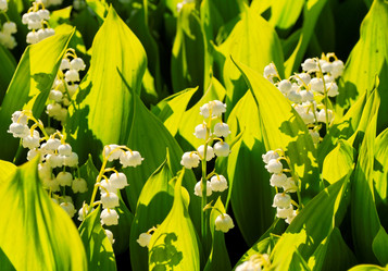 Similar image 785787