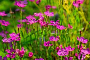 Similar image 785788