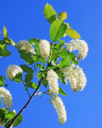 Similar image 785801