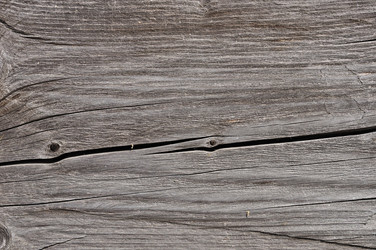 Similar image 785809