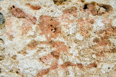 Similar image 785817