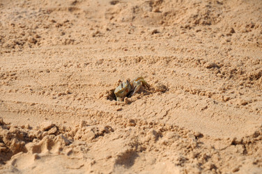 Similar image 785820