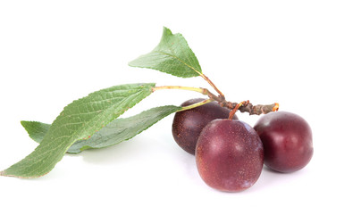 Similar image 785841