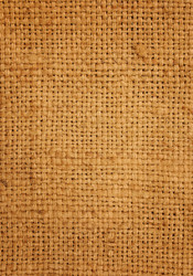 Similar image 785873