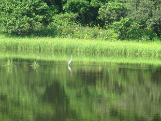 Similar image 785903