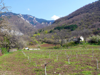 Similar image 786001