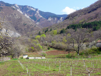 Similar image 786002