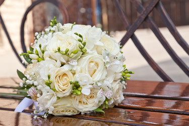 Similar image 786020