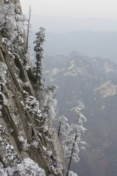 Similar image 786028