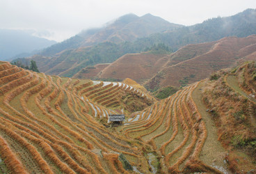 Similar image 786064