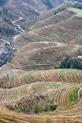 Similar image 786068