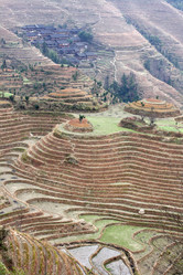 Similar image 786070