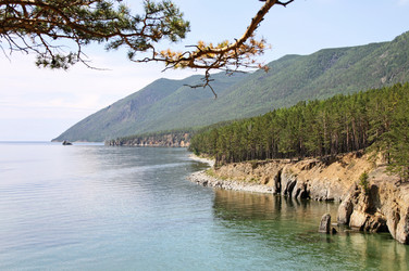 Similar image 786080