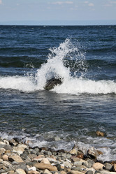 Similar image 786097