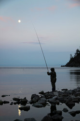 Similar image 786102