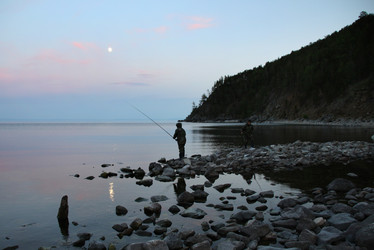 Similar image 786103